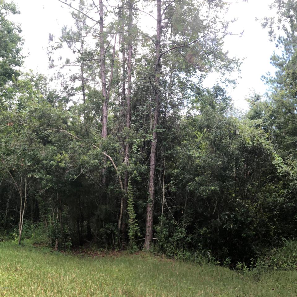 000 Woodlawn St - Photo 1