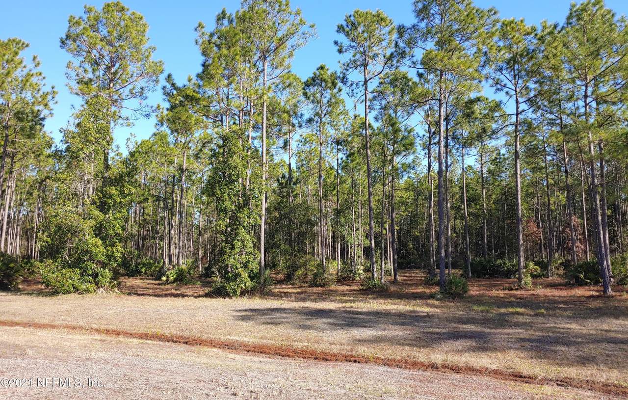 11087 Blazing Ridge Ct - Photo 1