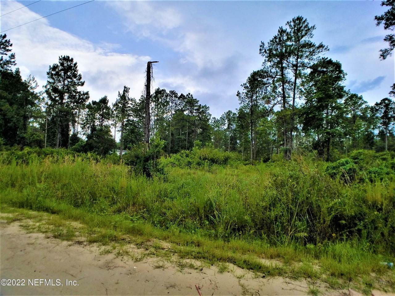 705 Hickory Nut Trl - Photo 1