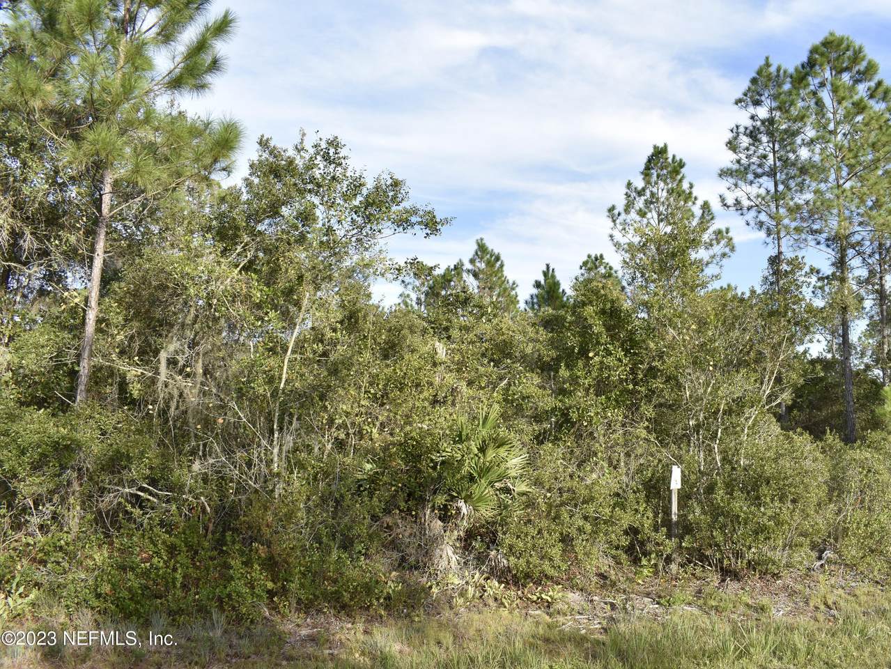 13917 204TH Ter - Photo 1