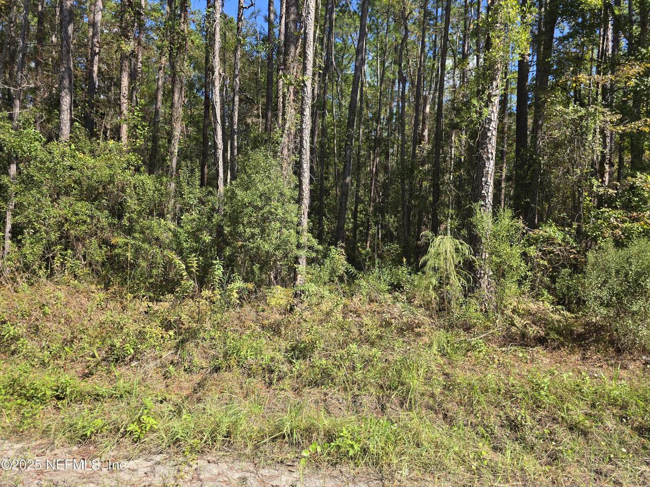 0 Mclaurin Road - Photo 1