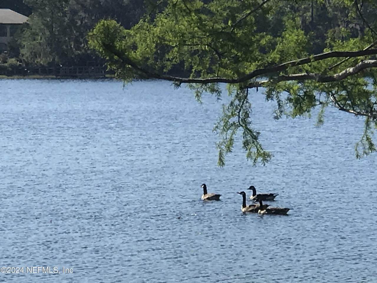 XX Simpson Drive - Photo 1