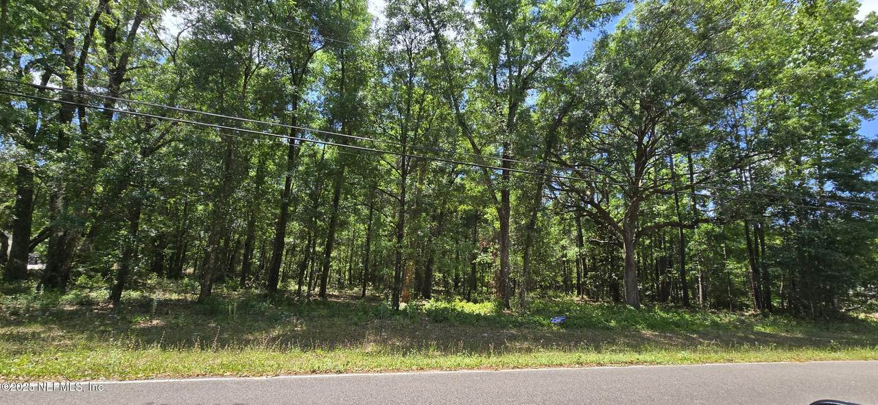 0 Branscomb Road - Photo 1