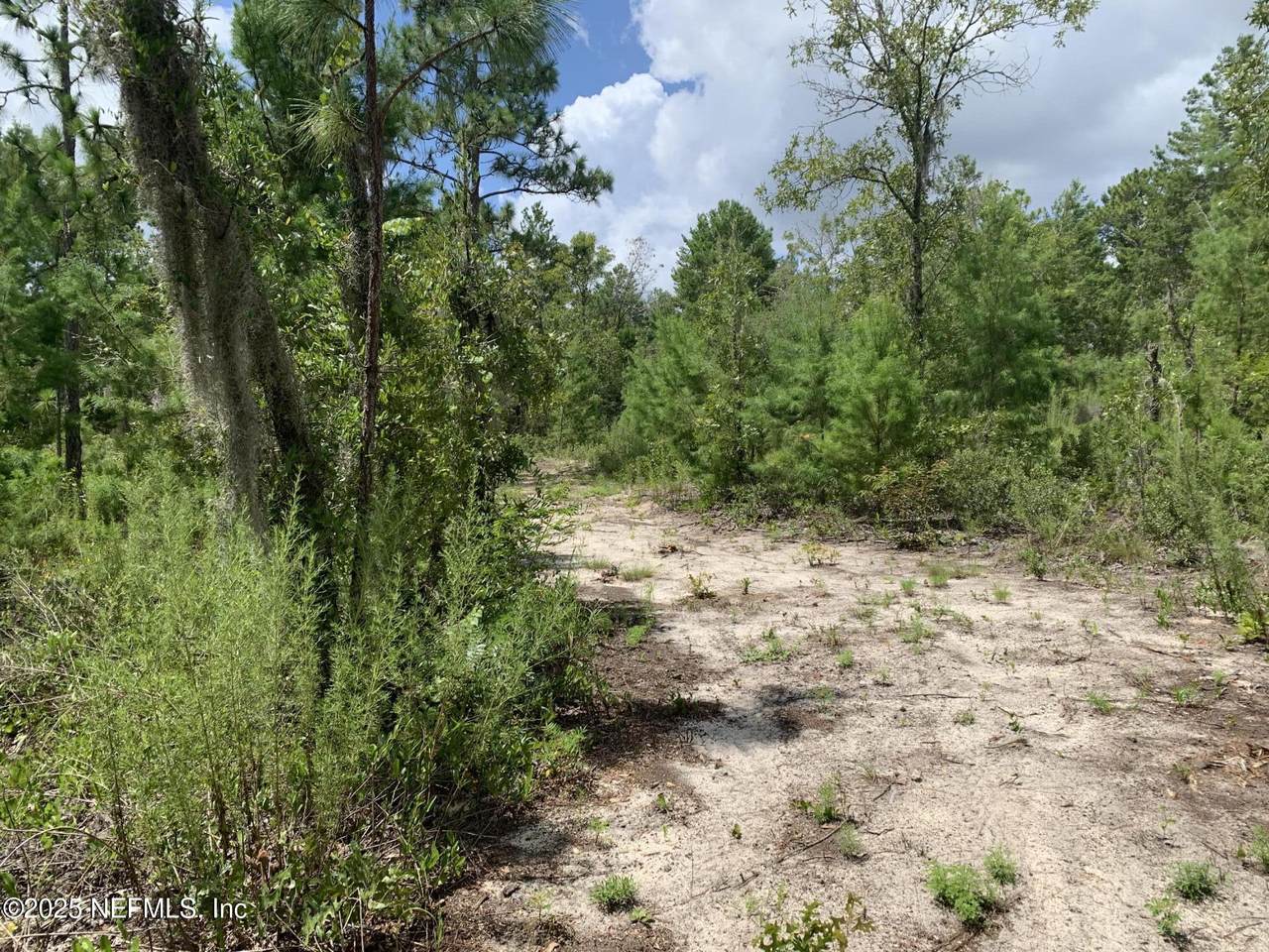 403 Lily Trail - Photo 1