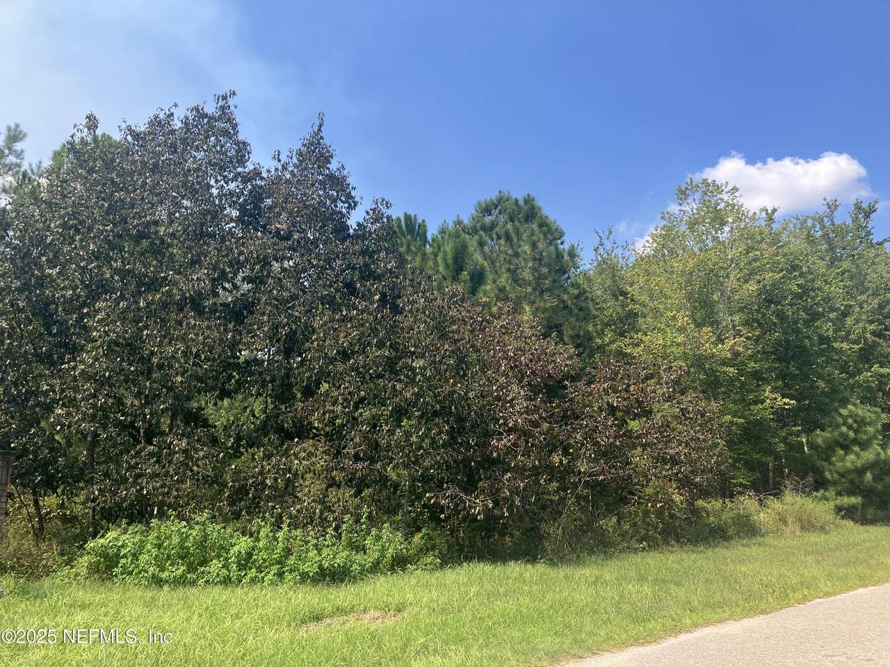 0 County Rd 217 - Photo 1