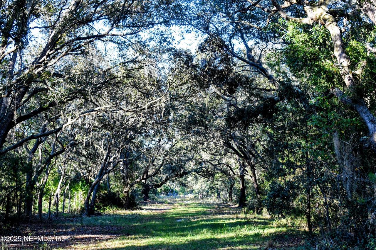 96 Bridle Drive - Photo 1