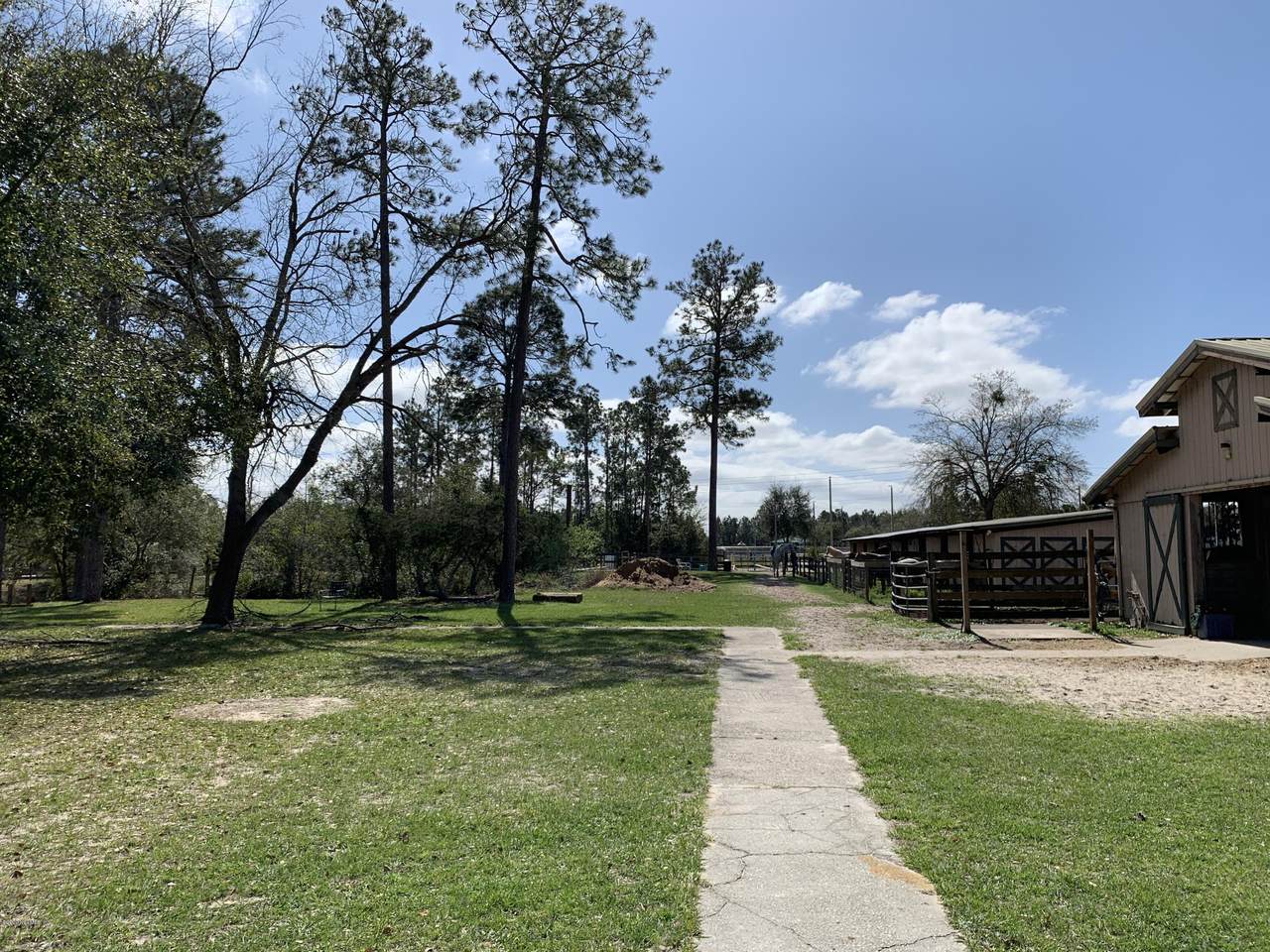 3915 County Road 210 - Photo 1