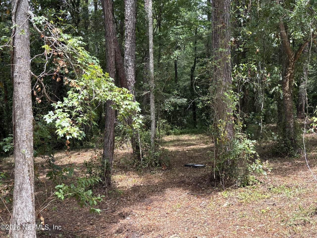 4819 Gopher Circle - Photo 1