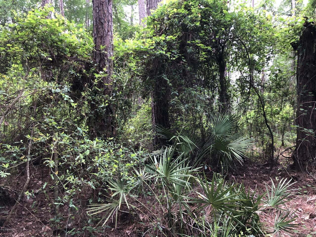0 Southern Trl - Photo 1