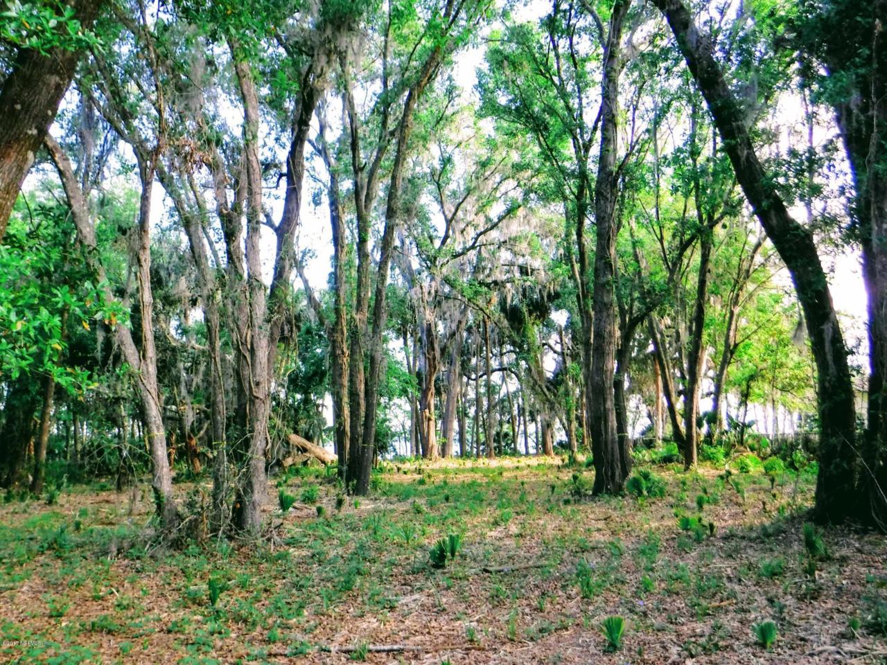 133 Orange Tree Rd - Photo 1