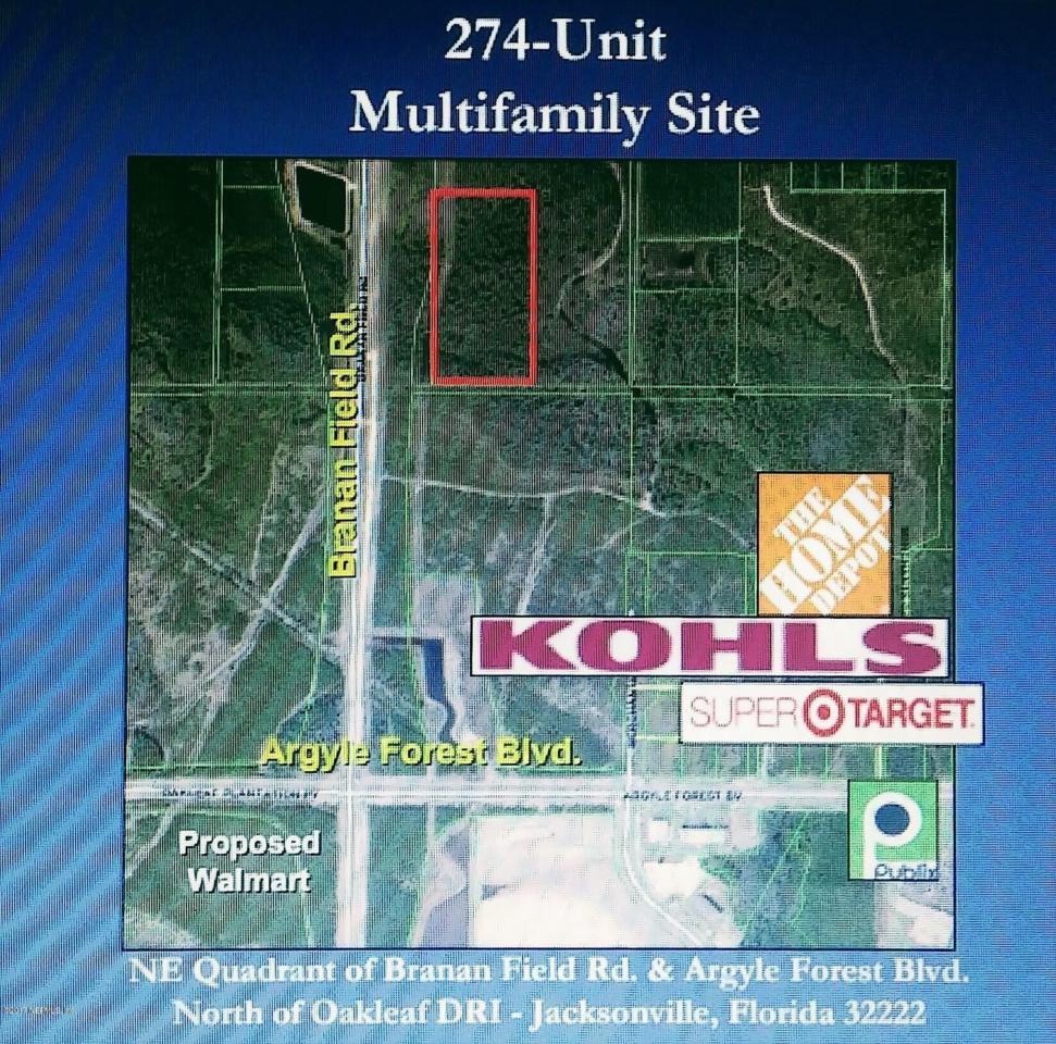 0 Branan Field Chaffee Rd - Photo 1