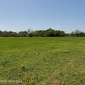 0 Parrish Cemetery Road - Photo 6