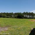 0 Parrish Cemetery Road - Photo 8