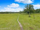 4340 Lazy H Ranch Road - Photo 19