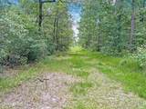 2819 Black Creek Drive - Photo 16