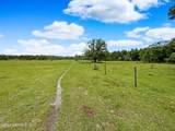 2819 Black Creek Drive - Photo 29