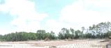12520 Yellow Bluff Road - Photo 14