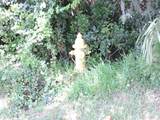 12520 Yellow Bluff Road - Photo 20