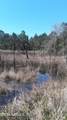 5210 Co Rd 214 - Photo 3