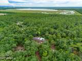 115 Wilkinson Road - Photo 61