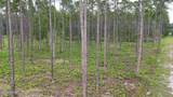 LOT 3 Us Hwy 301 - Photo 6