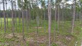 LOT 3 Us Hwy 301 - Photo 7
