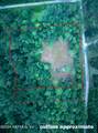 00 Jones Creek Road - Photo 25