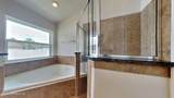 1197 Wetland Ridge Circle - Photo 6
