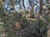 105 Palmer Drive - Photo 10