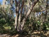 105 Palmer Drive - Photo 3