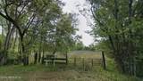 4197 Pine Road - Photo 1