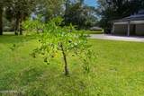 35018 Nancy Road - Photo 31