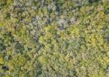 0 Paige Avenue - Photo 4
