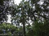 2008 Nickerson Lane - Photo 9