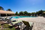803 Black Cherry Drive - Photo 38