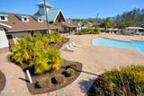 143 Dove Tree Lane - Photo 40
