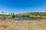 11722 Fred Harvey Road - Photo 57