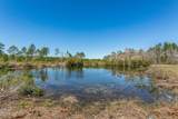 11722 Fred Harvey Road - Photo 58