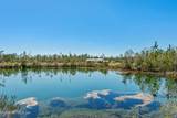 11722 Fred Harvey Road - Photo 66