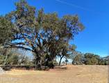 14714 Katie Cove Drive - Photo 8