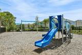 310 Anthony Drive - Photo 37