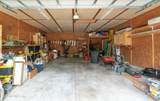 4637 Saddlehorn Trail - Photo 11