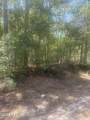 303 Hickory Nut Trail Trail - Photo 2