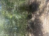 303 Hickory Nut Trail Trail - Photo 3