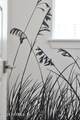 1314 2ND Street - Photo 34