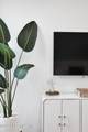 1314 2ND Street - Photo 38