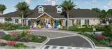 117 Swaying Tree Avenue - Photo 15