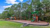 388 Lolly Lane - Photo 60