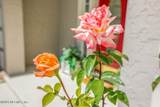 388 Lolly Lane - Photo 7