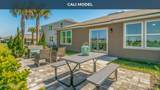 12632 Rubber Fig Terrace - Photo 16